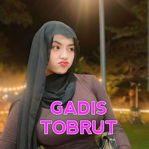 Gadis Tobrut - DJ Anugrah Terindah