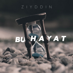 Ziyddin - Bu Hayat