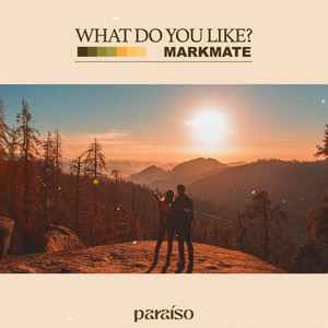 What Do You Like? by MarkMate