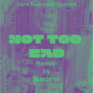 Not Too Bad (Buscemi Remix) cover art