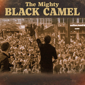 Blue Dream by The Mighty Black Camel Blues Band