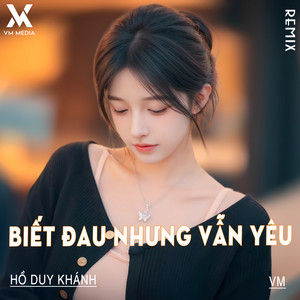 Hồ Gia Khánh & VM - Biết Đau Nhưng Vẫn Yêu (Remix)