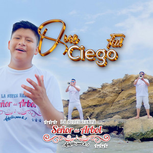 La Súper Banda Señor del Árbol - Que Siego Fui