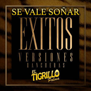 El Tigrillo Palma - Se Vale Soñar