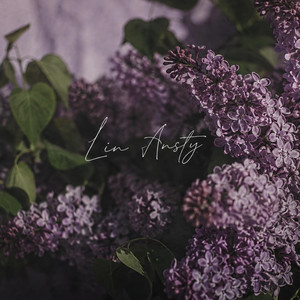 Lin Ansty by itzice, k1n1ch