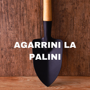 tendencia DJ - Agarrini la Palini