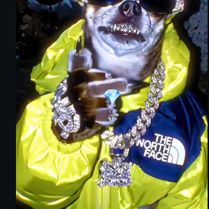 WHO.508jay - Shii Talking