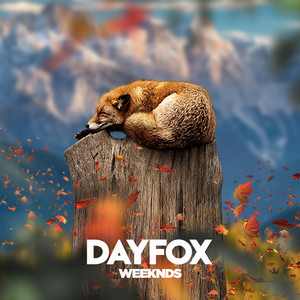 DayFox - Weeknds