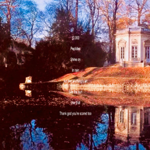 Silly honey by S a w y e r