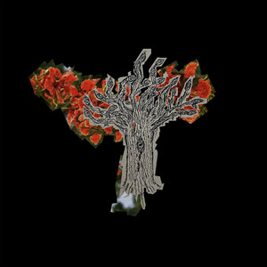 Orange Trees by Jiubel