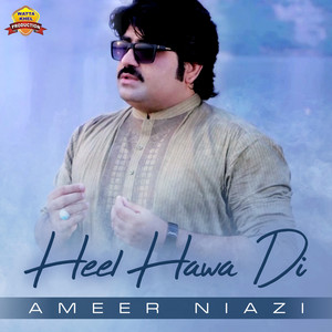 Ameer Niazi - Sari Umran Di Hovey Hika Raat Ve