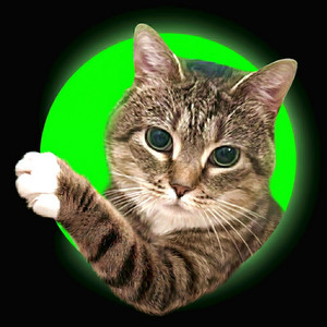 PEDRO (OIIA OIIA Spinning CAT) [Slowed] by DaisyOIIA, XertXetin