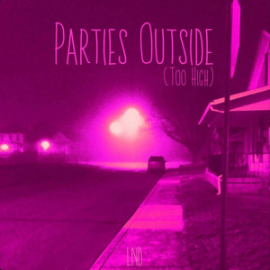 Parties Outside (Too High) by Level Not Determined