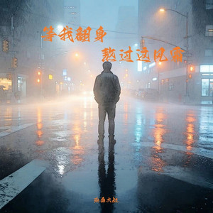 等我翻身熬过这风霜 - 伴奏 by 沧桑大叔.