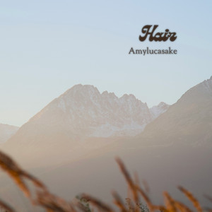 Hair by Amylucasake