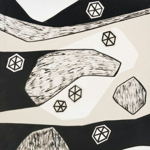 Afro Cookie - Lehto's Version by Lehto, Renegades Of Jazz