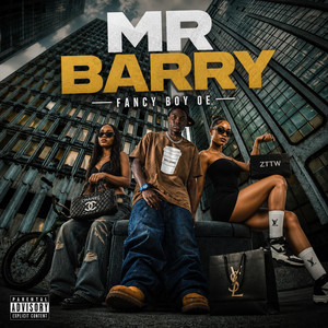 Mr Barry by Fancy Boy 0e