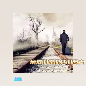 亲爱的原谅我的离去 - 伴奏 by 赵鹏
