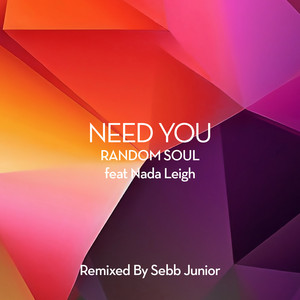 Random Soul — Need You (Sebb Junior Remix) (2026)