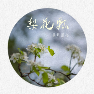 梨花飘 by 星月组合