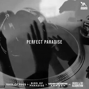 Perfect Paradise