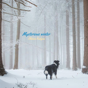 Mysterious winter