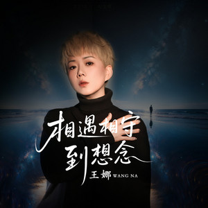 岁月如笔写春秋（相遇相守到想念） - 舞曲版 by 王娜