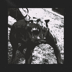 FARZÆD - I CRAVE THIS PAIN IT'S THE ONLY THING THAT REMINDS ME I'M ALIVE