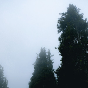 Nesa Motta - Winter Song