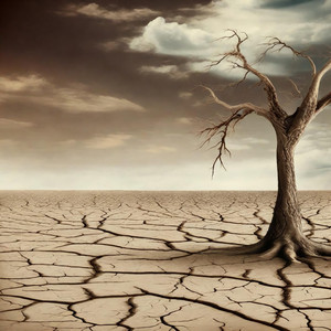 Synfyfyrio Gofod four