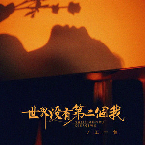 Yijia Wang - 世界没有第二个我