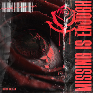 Missing Is Enough by Torrential Rain