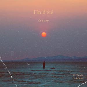Ozow - Raisons