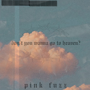 Don't You Wanna Go To Heaven? by Pink Fuzz