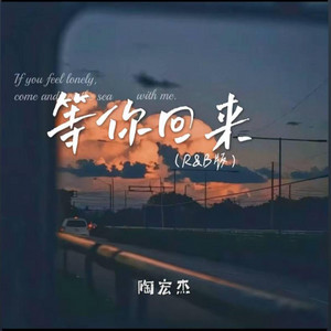 等你回来（R&B版） by 抖音歌-花music