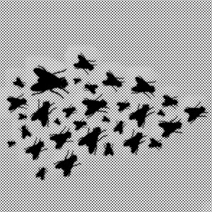 flies by Andreas Mark-Skousgaard, AMS