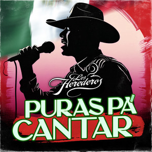 Los Herederos - El Patito Juan (Instrumental)