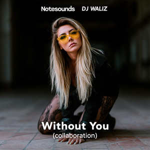 Without You - Collaboration by DJ Waliz