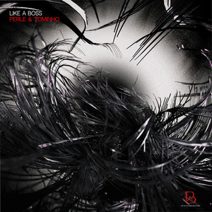 LIKE A BOSS (Original Mix)
