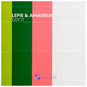 Got It by Lepie, Amadeu5