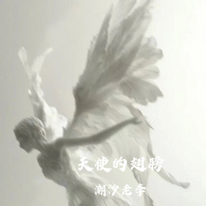 潮汐老李 - 天使的翅膀(R&B咕咚版) (feat. 魏爱梓欣)