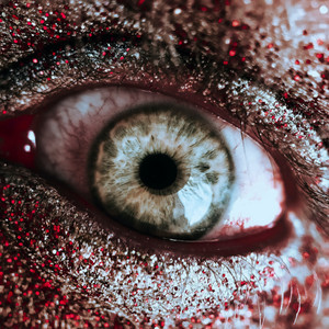 Fred Bouchal - Horror