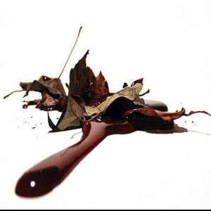 Blood On Da Leaves(Freestyle) by Caymillz