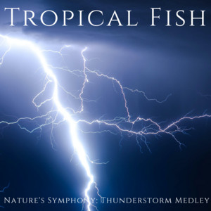 Tropical Fish - Majestic Thunderclaps