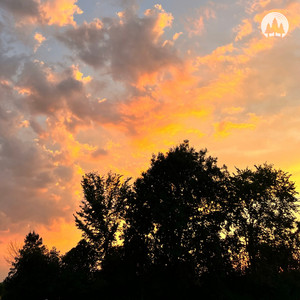 Low Sun by Dryas Beats