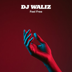 Feel Free by DJ Waliz