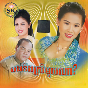 ស្នេហ៍នៅតែស្នេ by សួស សងវាចា, ឈួន សុវណ្ណឆៃ
