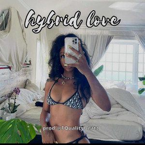 Hybrid Love - Instrumental by TQuality Beatz