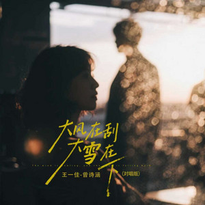 大风在刮大雪在下(对唱版) - Sencillo de 王一佳| Spotify