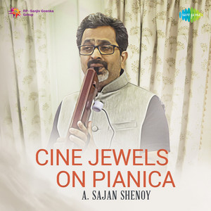 A. Sajan Shenoy - Dil Deewana (Instrumental)